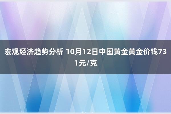 宏观经济趋势分析 10月12日中国黄金黄金价钱731元/克