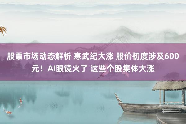 股票市场动态解析 寒武纪大涨 股价初度涉及600元！AI眼镜火了 这些个股集体大涨