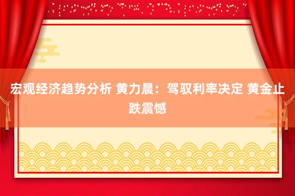 宏观经济趋势分析 黄力晨：驾驭利率决定 黄金止跌震憾