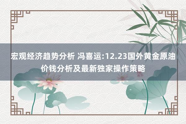 宏观经济趋势分析 冯喜运:12.23国外黄金原油价钱分析及最新独家操作策略