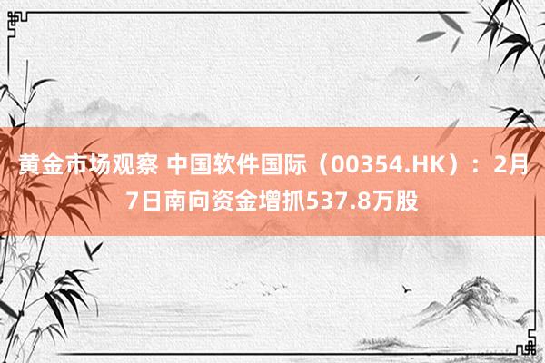 黄金市场观察 中国软件国际（00354.HK）：2月7日南向资金增抓537.8万股